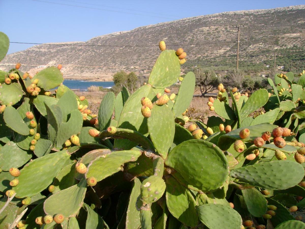 Papadiokampos Maissonete Roussa Limni Buitenkant foto